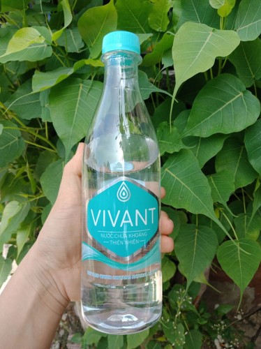 Thùng Vivant chai 500ml (thùng / 24 chai)