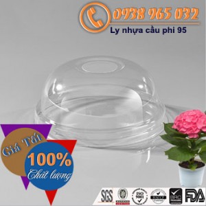 Nắp nhựa cầu 95 (2.000 cái / thùng), miễn phí giao tận nơi